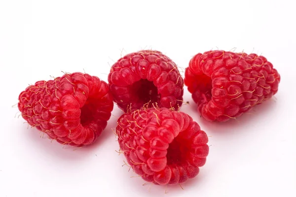 Rasberry on white — Stock Photo, Image