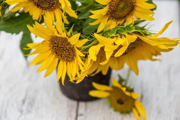 Sunflowers in vase — Stock Photo, Image