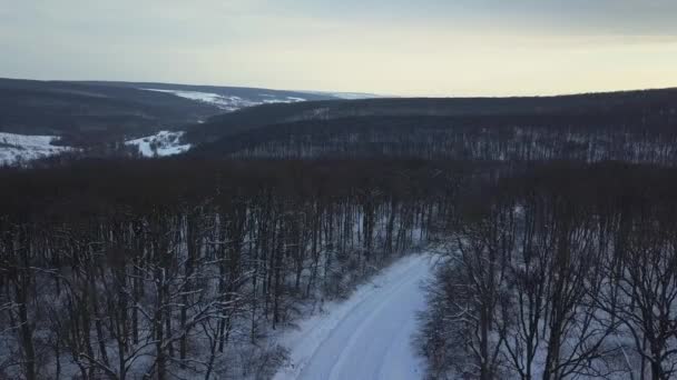 冬の森のトップダウンビュー 森の中の冬の風景 冬のモミの森を飛び越える 高い雪の木の上からの眺め 雪の中の木 — ストック動画