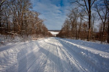 Kış manzarasında yol karla kaplı.