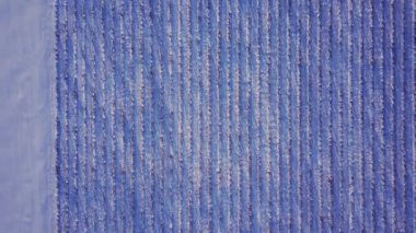 Kışın üzüm bağının üzerinden uçar