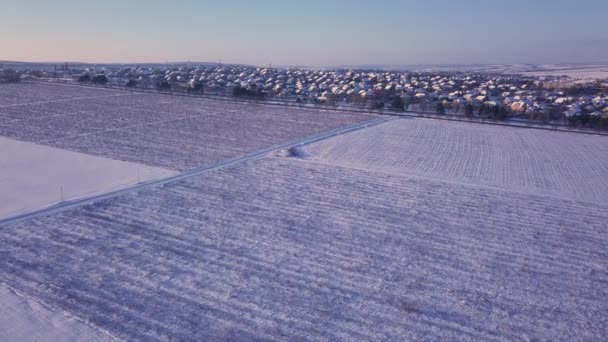 Vuelo Sobre Viñedo Invierno — Vídeos de Stock