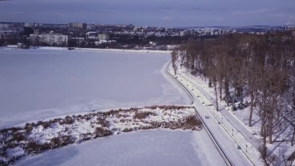 Aves Voando Sobre Lago Congelado Parque Kishinev Moldova — Vídeo de Stock