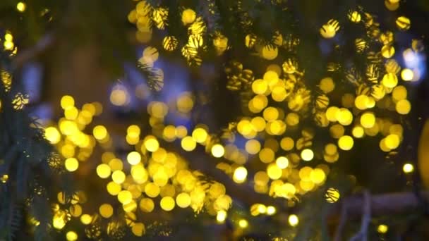 Αφοπλισμένα Φώτα Χριστουγεννιάτικου Δέντρου Χριστουγεννιάτικο Φόντο — Αρχείο Βίντεο