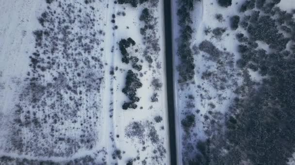 Luft Oder Draufsicht Von Einer Drohne Auf Einer Autobahn Bei — Stockvideo