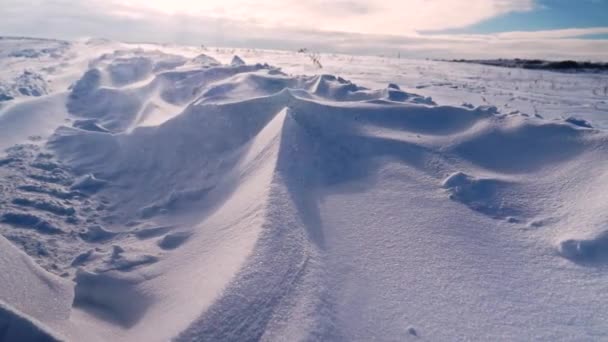 Kraftig Vind Blåser Snö Över Tundra — Stockvideo