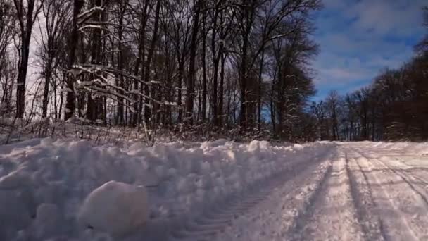 Tomma Snötäckta Vägen Passerar Genom Skogen Vinterlandskapet Steadicam Skjuten — Stockvideo