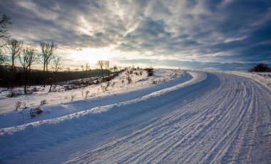 Kış manzarasında yol karla kaplı.