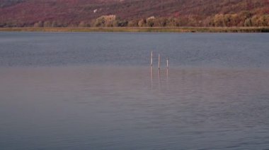 Waterscape dalgalar ve dalgaların göl günbatımı açık mor ve pembe akşam gökyüzü, yüksek açılı görünüş altında mavi su yüzeyinde rüzgarda çalıştırmak