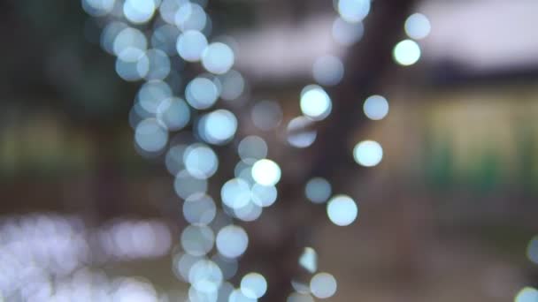 lumières d'arbre de Noël déconcentrées. fond de Noël 