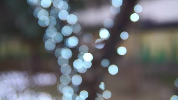 Defocused christmas tree lights. christmas background — Stock Video