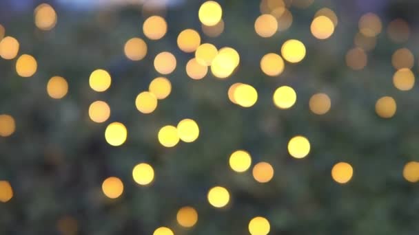 Luzes da árvore de Natal desfocadas. fundo de natal — Vídeo de Stock