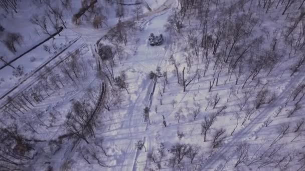 Die Drohne Fliegt Über Den Verschneiten Stadtpark Schneestadt Natürliche Abstraktion — Stockvideo