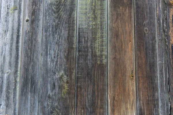 Grunge trä paneler för bakgrund — Stockfoto