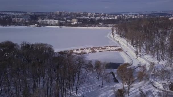 Oiseaux survolant le lac gelé dans le parc, Kishinev Moldavie 