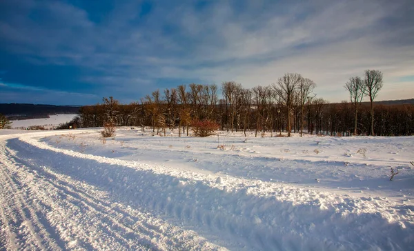 Camino cubierto de nieve vacío —  Fotos de Stock