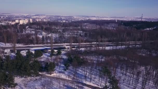 Vista Cima Para Baixo Floresta Inverno Paisagem Inverno Floresta Voando — Vídeo de Stock