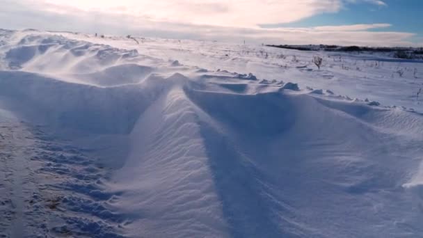 Έντονος Άνεμος Φυσά Χιόνι Πάνω Από Τούντρα — Αρχείο Βίντεο