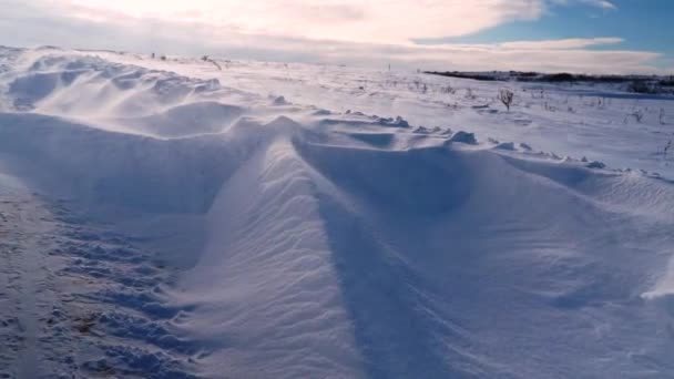 Kraftig Vind Blåser Snö Över Tundra — Stockvideo