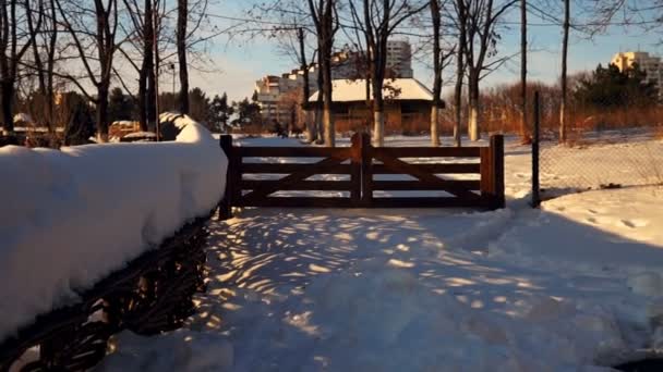 Starý Dřevěný Kostel Zimě Kišiněv Moldavská Republika Zimní Krajina Whit — Stock video