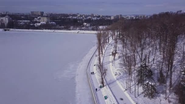 Птицы Летают Над Замерзшим Озером Парке Кишинев Молдова — стоковое видео