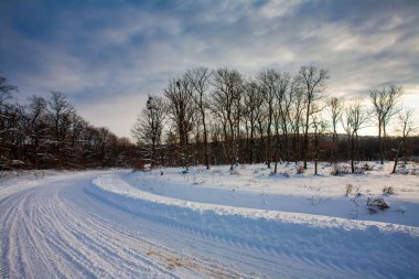 Kış manzarasında yol karla kaplı.