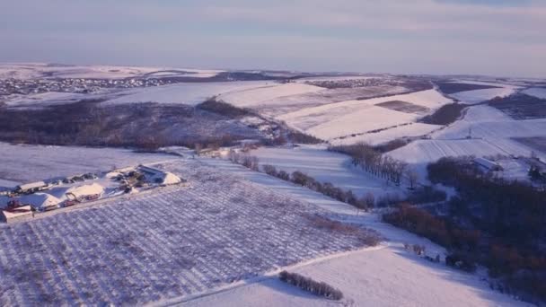 Luchtfoto Dorp Tussen Velden Bossen Winter Winterlandschap Besneeuwd Veld Bomen — Stockvideo