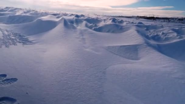 Viento Severo Sopla Nieve Sobre Tundra — Vídeo de stock