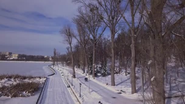 公園で凍った湖を飛ぶ鳥 Kishinevモルドバ — ストック動画