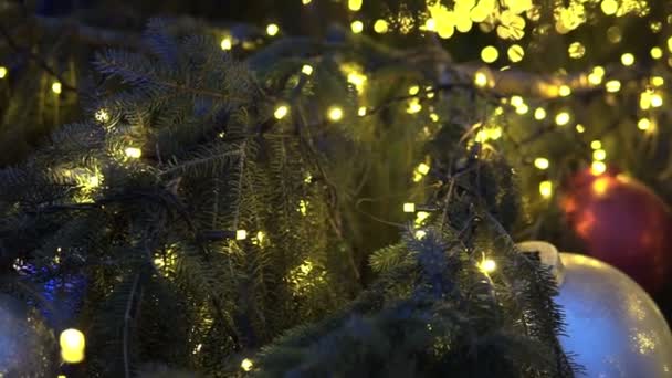 Gedeconcentreerde Kerstboom Lichten Kerstmis Achtergrond — Stockvideo