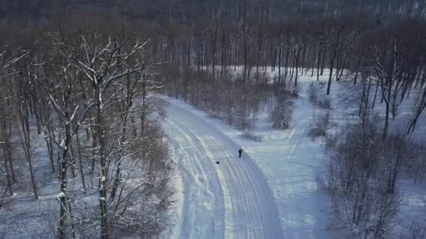 Vista Aérea Romántica Carretera Que Atraviesa Bosque Invernal Cubierto Nieve — Vídeo de stock
