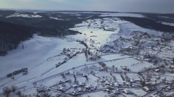 Kışın Tarlalar Ormanlar Arasındaki Hava Manzaralı Köy Kış Manzarası Karla — Stok video