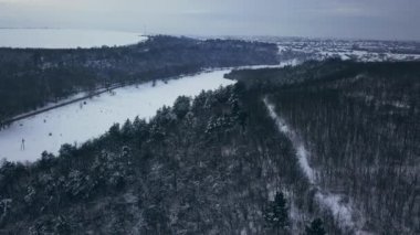 Kışın aşağı doğru orman manzarası. Ormandaki kış manzarası. Kış köknar ormanının üzerinde uçuyorlar. Yüksek karlı ağaçların yukarıdan görünüşü. Karda ağaçlar.