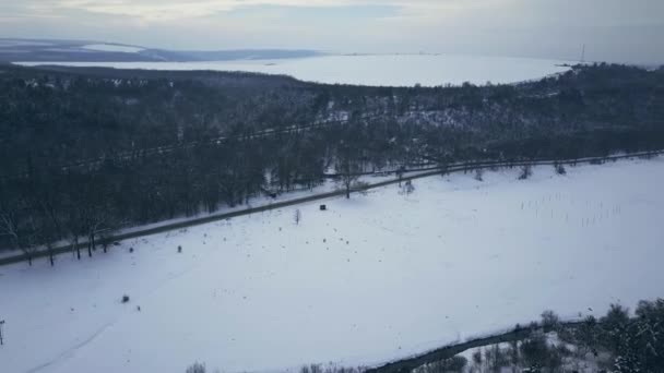 Bovenaanzicht Het Bos Winter Winterlandschap Het Bos Vliegen Winter Dennenbos — Stockvideo