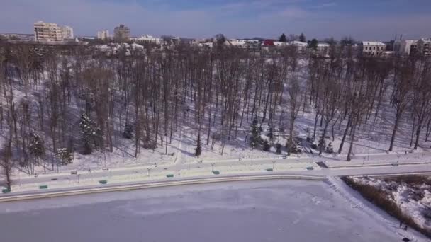 Parktaki Donmuş Göl Üzerinde Uçan Kuşlar Kishinev Moldova — Stok video