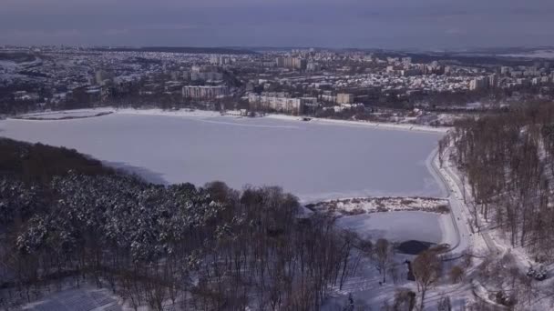 Aves Voando Sobre Lago Congelado Parque Kishinev Moldova — Vídeo de Stock