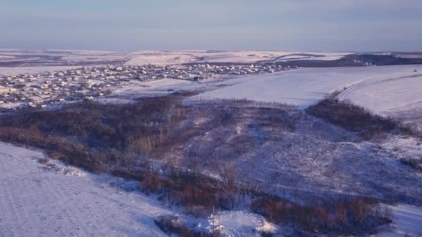 Widok Lotu Ptaka Wsi Wśród Pól Lasów Zimie Zimowy Krajobraz — Wideo stockowe