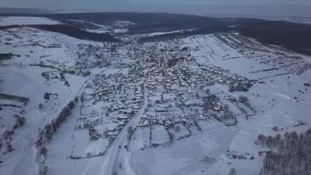 冬季在田野和森林之间的鸟瞰村 冬天的风景覆盖着田野和乡村的树木 — 图库视频影像