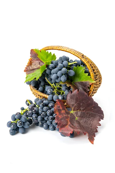 Red grape in basket isolated on white background Stock Photo