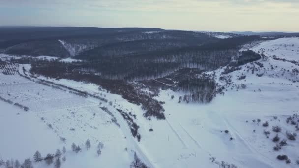 Vista Cima Para Baixo Floresta Inverno Paisagem Inverno Floresta Voando — Vídeo de Stock