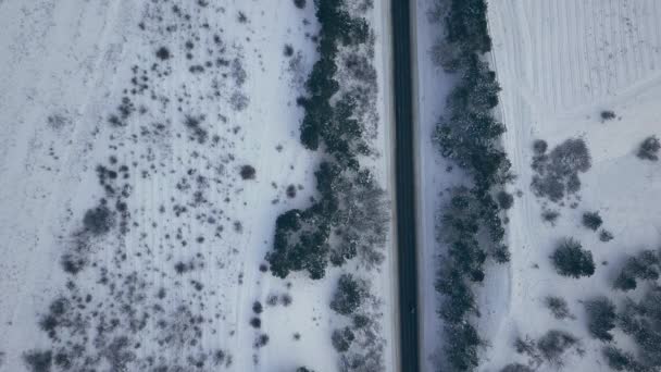 Vue Aérienne Aérienne Depuis Drone Sur Une Autoroute Par Temps — Video