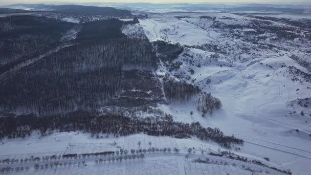 Vista Arriba Hacia Abajo Del Bosque Invierno Paisaje Invernal Bosque — Vídeos de Stock