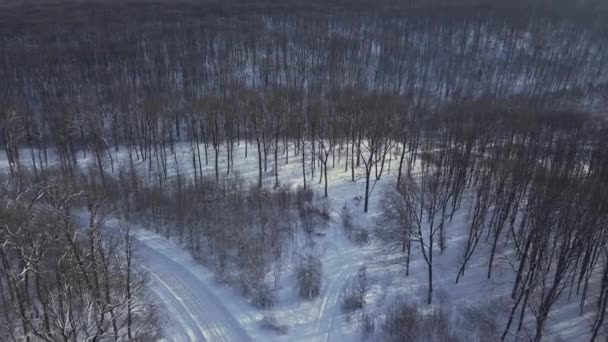 Вид Воздуха Романтическую Дорогу Проходящую Через Заснеженный Зимний Лес Вид — стоковое видео