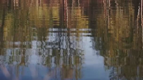 Árboles Álamo Amarillo Brillante Reflejan Lago Durante Los Colores Otoño — Vídeos de Stock