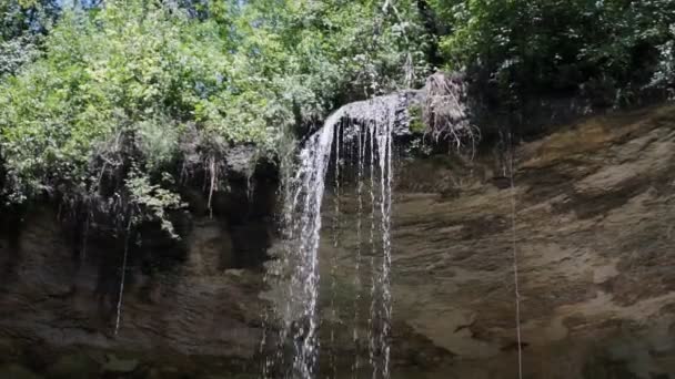 Gros Plan Une Petite Cascade Dans Une Forêt Profonde Avec — Video