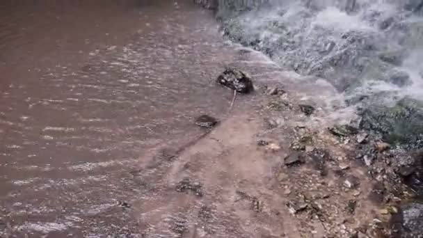 Закрыть Небольшой Водопад Глубоком Лесу Звуком — стоковое видео