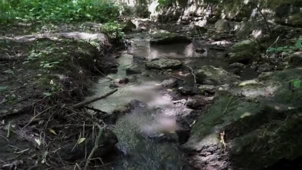 Bosstroom Die Mossige Rotsen Stroomt Kleine Waterval Zomer Groen Bos — Stockvideo