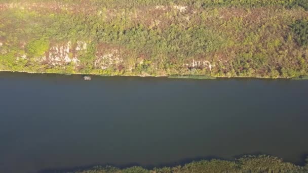 美しい緑に囲まれた小さな川を飛ぶドローン — ストック動画