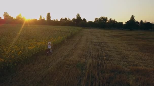 ひまわり畑に自転車を導く白いドレスの女性のトップビュー ドローンの未来 — ストック動画