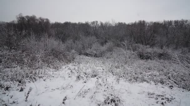 美丽的暴雪 — 图库视频影像